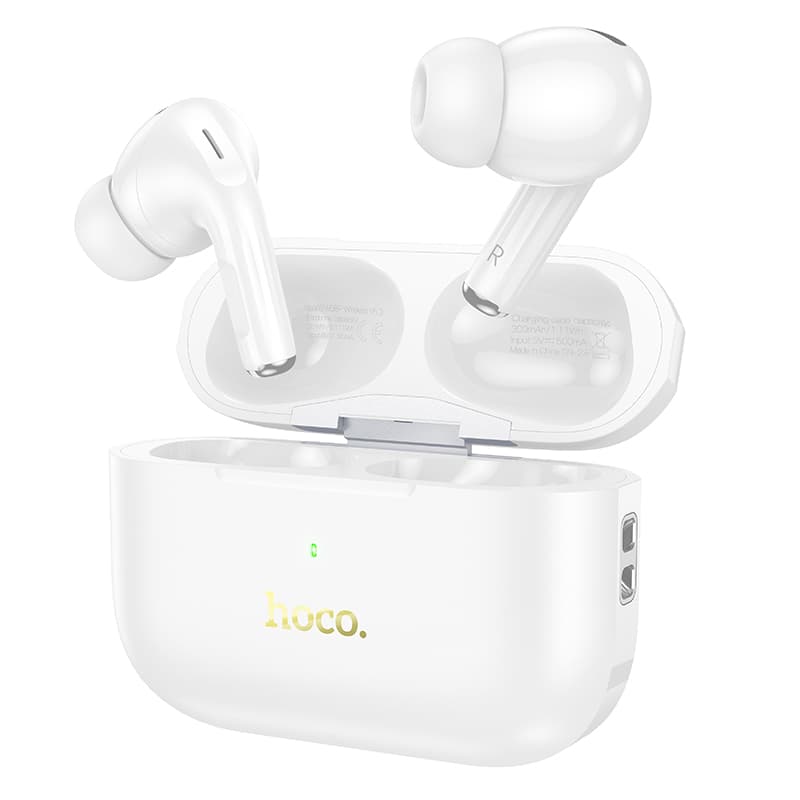 Hoco EW56 Plus Generoso ANC Wireless TWS Earbuds